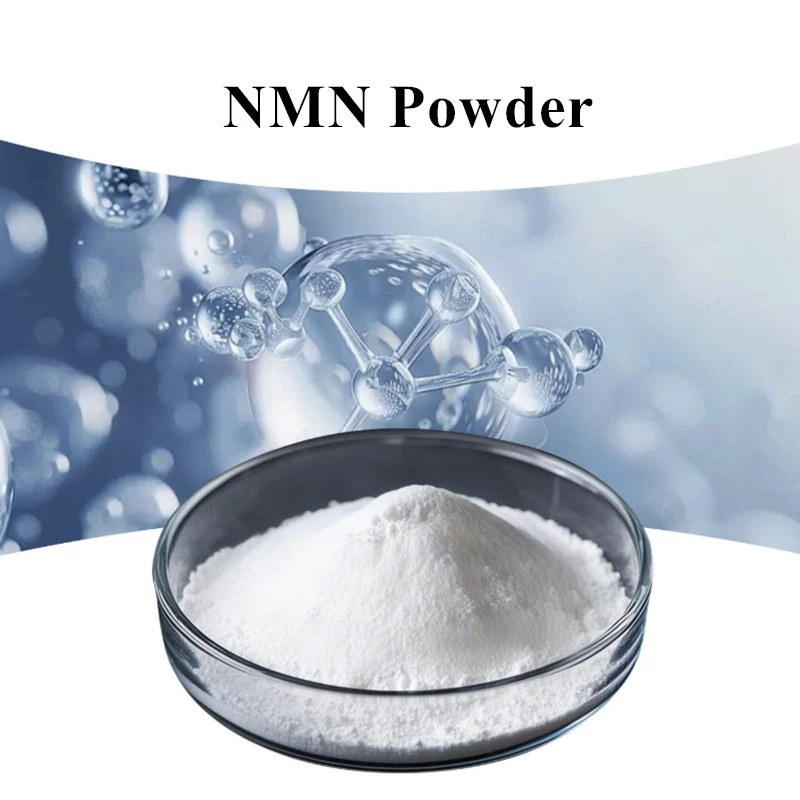 NMN Powder suppliers