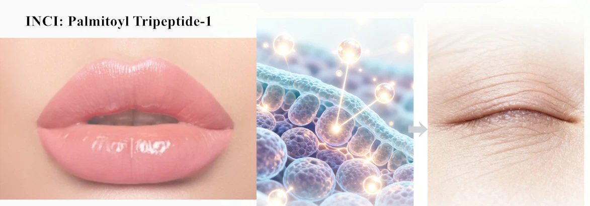 inci Palmitoyl Tripeptide 1 inci Palmitoyl Tripeptide 1